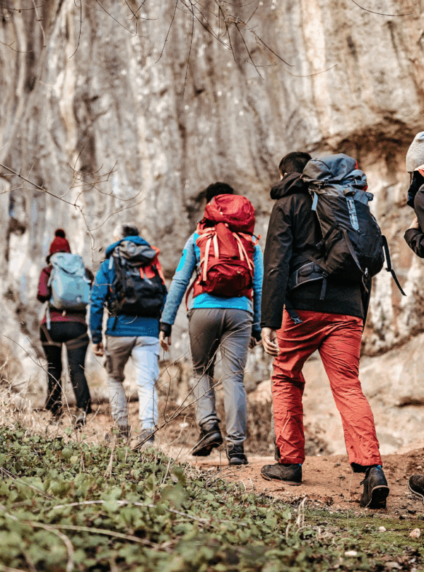 Customized Domestic Tour