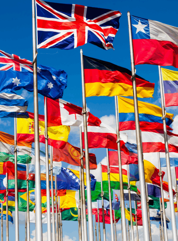 Customized International Tour