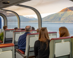 mice international tour